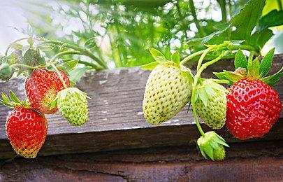 Unity将大裁员 全球1800名员工受影响